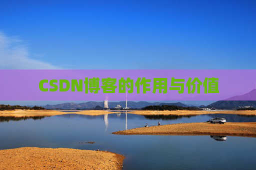 CSDN博客的作用与价值