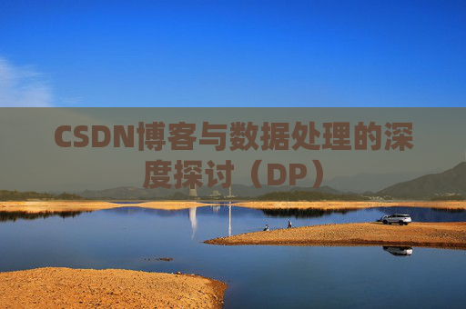 CSDN博客与数据处理的深度探讨（DP）