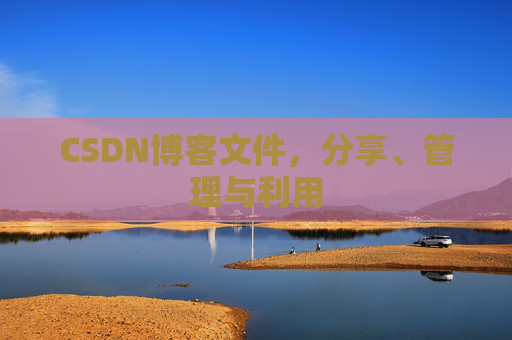 CSDN博客文件，分享、管理与利用
